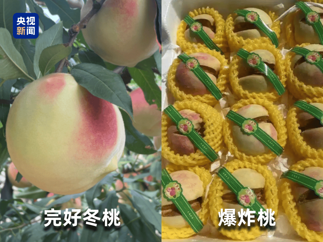 起底“水果骗局”！这些“智商税”水果要知道→