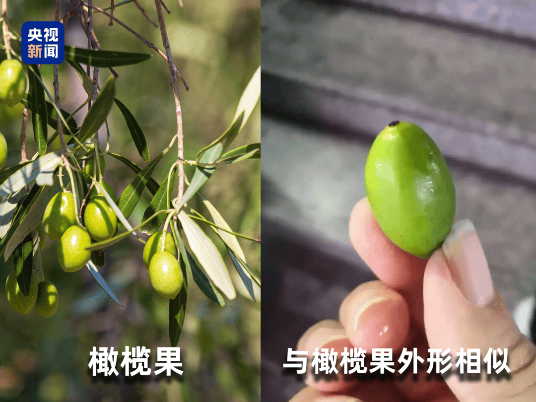 起底“水果骗局”！这些“智商税”水果要知道→