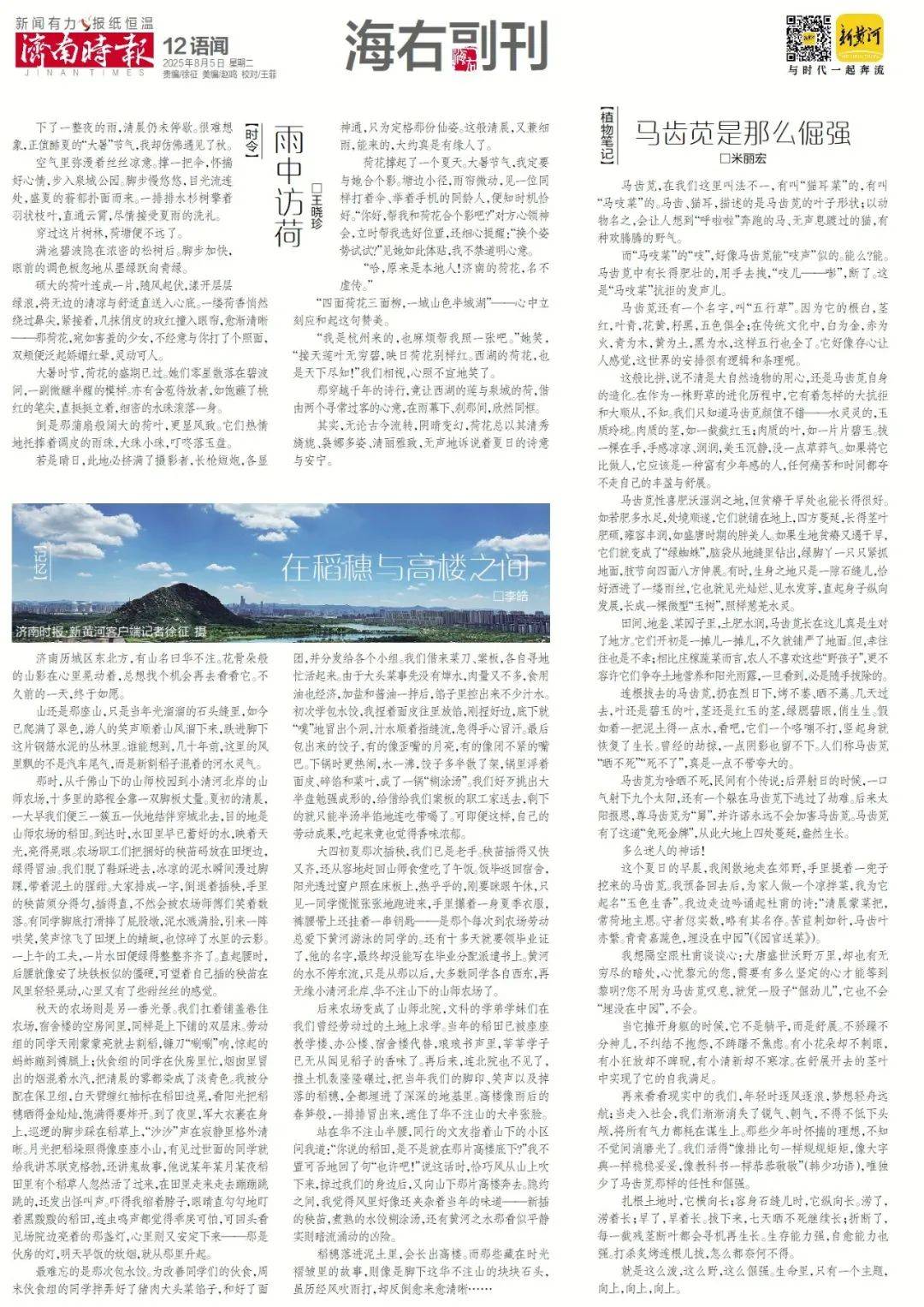 济南将新添一家“胖东来式”超市，下月底开业
