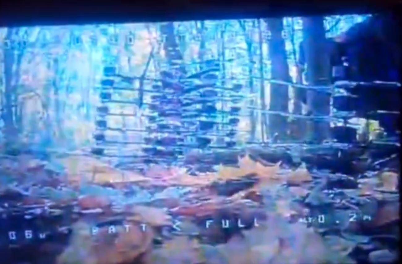 1万朝鲜特种兵凭空消失？苏梅全线告急，乌克兰截获绝密前线情报