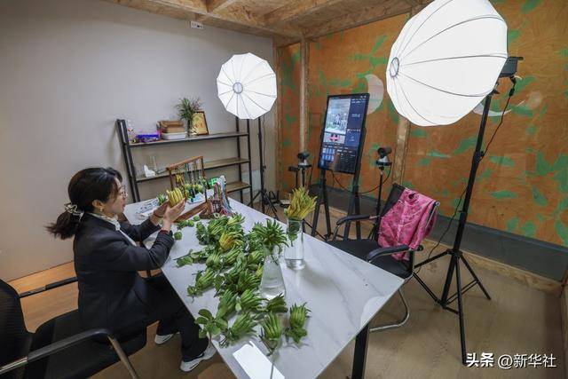 “十五五”规划建议诞生记