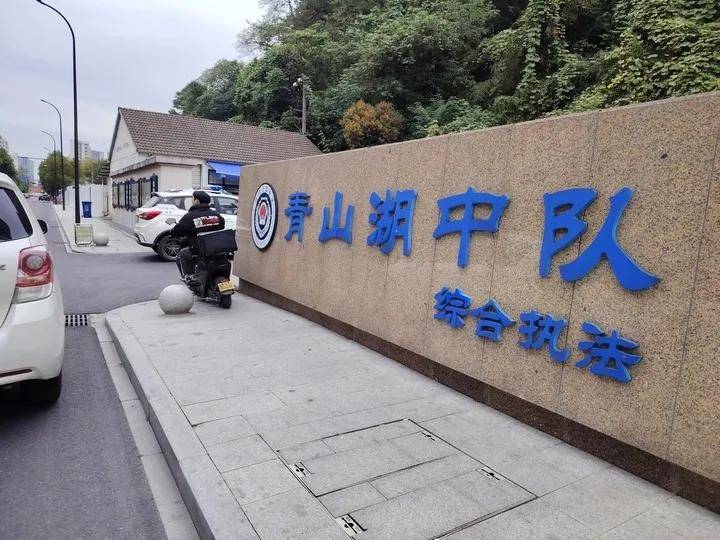 柯基犬主人持酒瓶暴打马犬事件进展：当事人被拘，马犬已脱离危险期