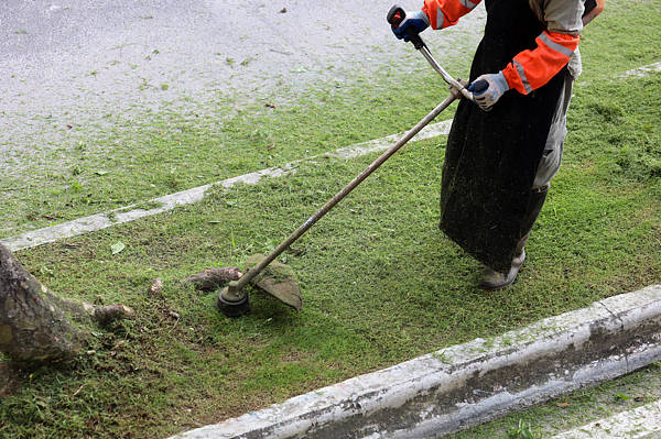 连续灭蚊70多天 有基层员工在网上诉苦