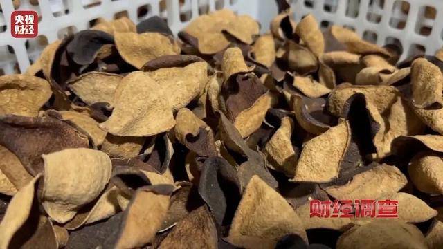 30天速成陈皮，成本仅70元，利润超成本10倍以上！央视起底陈皮跨省造假产业链