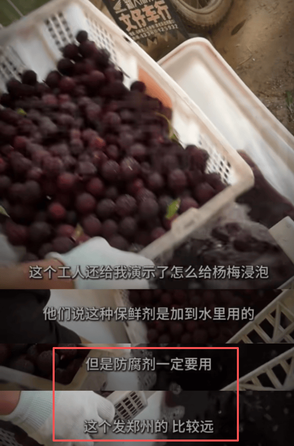 福建漳州“泡药杨梅”大量流入市场，主要销往河南、上海、浙江等地，收购点工人称“发到郑州的比较远，防腐剂一定要用”，官方已启动整治