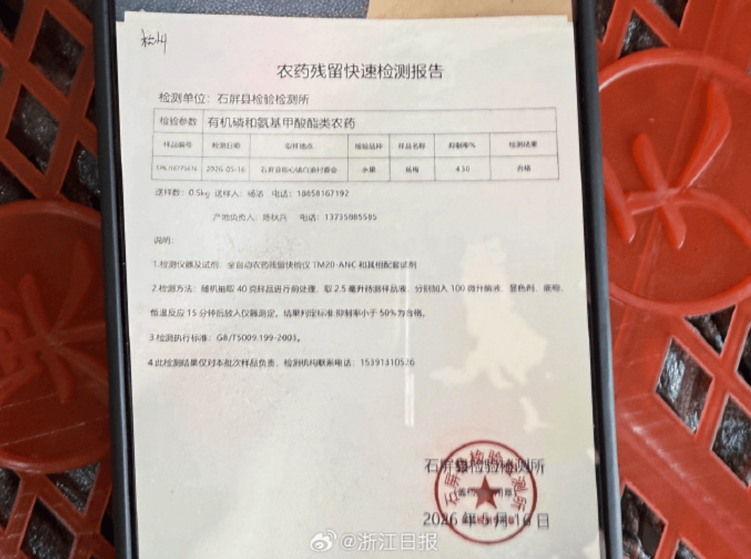 福建漳州“泡药杨梅”大量流入市场，主要销往河南、上海、浙江等地，收购点工人称“发到郑州的比较远，防腐剂一定要用”，官方已启动整治