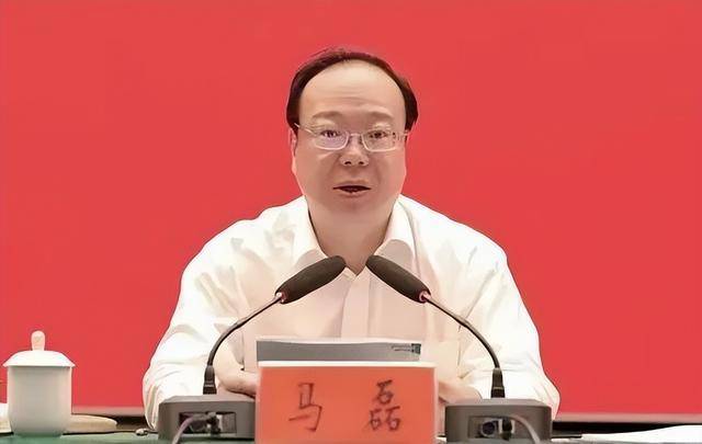 贵州省信访局局长马磊，任上落马