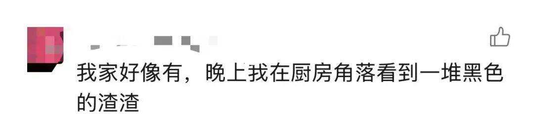 “我家好像有”！广东女子发现家中长出“黑色小刷子”，网友看后炸锅，深圳人速自查