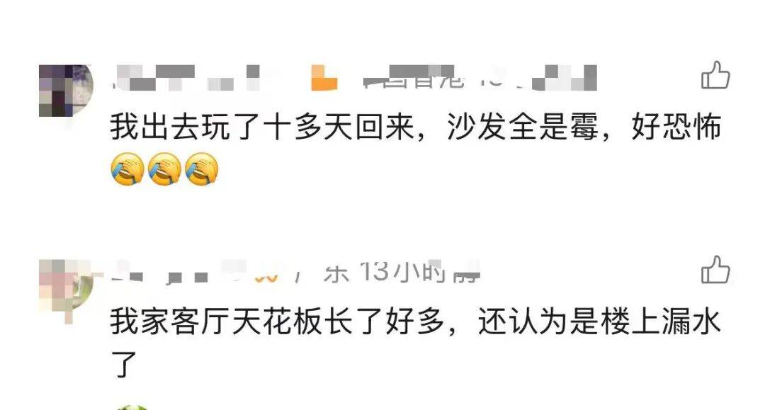 “我家好像有”！广东女子发现家中长出“黑色小刷子”，网友看后炸锅，深圳人速自查