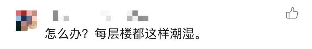 “我家好像有”！广东女子发现家中长出“黑色小刷子”，网友看后炸锅，深圳人速自查