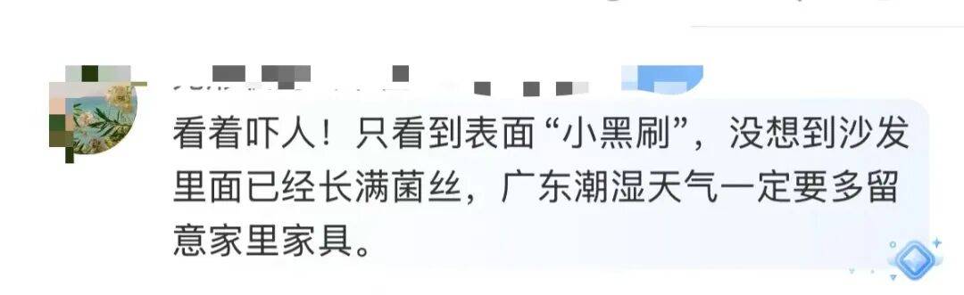 “我家好像有”！广东女子发现家中长出“黑色小刷子”，网友看后炸锅，深圳人速自查