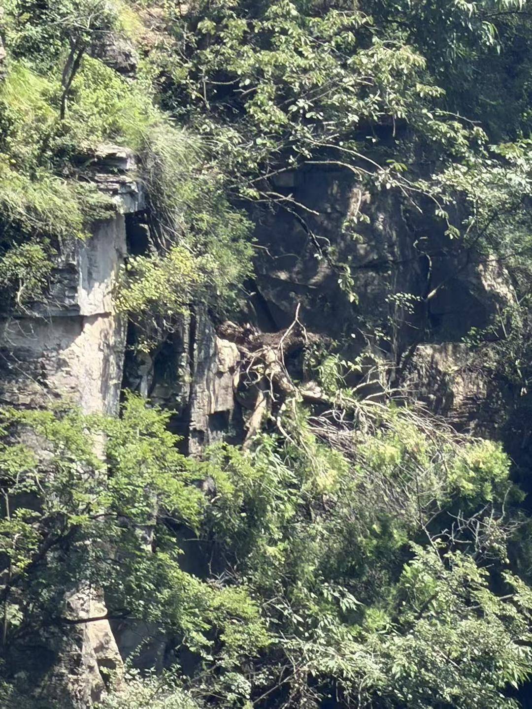 独闯南太行失联14天女子不幸身亡 当地村民：挖野菜在崖顶发现背包，救援人员在崖底找到其遗体