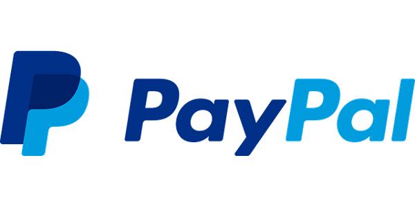 虚拟币pay(虚拟币排名前十)
