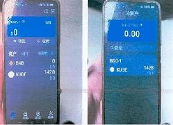 虚拟币pay(虚拟币派怎么提现)