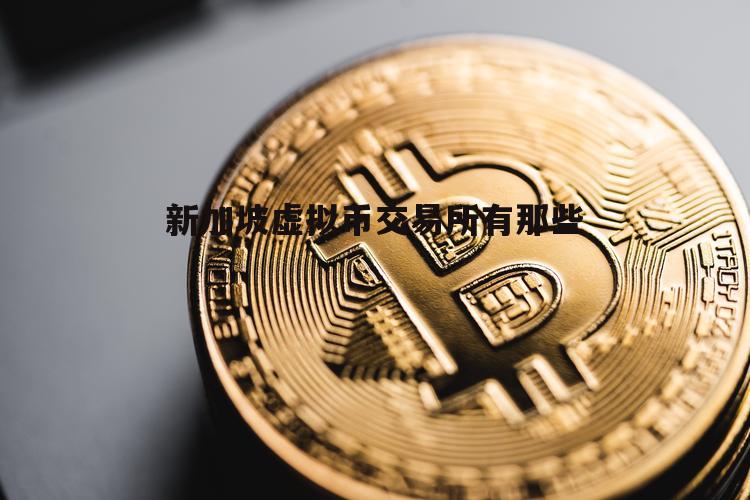 虚拟币上交易所(虚拟币上交易所之前怎么买)
