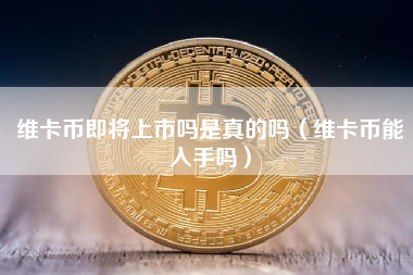 虚拟币维卡币(维卡币是虚拟币吗)