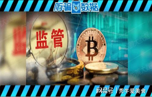 网络虚拟币与诈骗(网络虚拟币诈骗报案平台)
