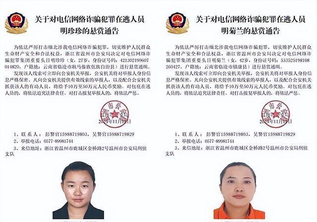 虚拟币通缉(ton虚拟币)